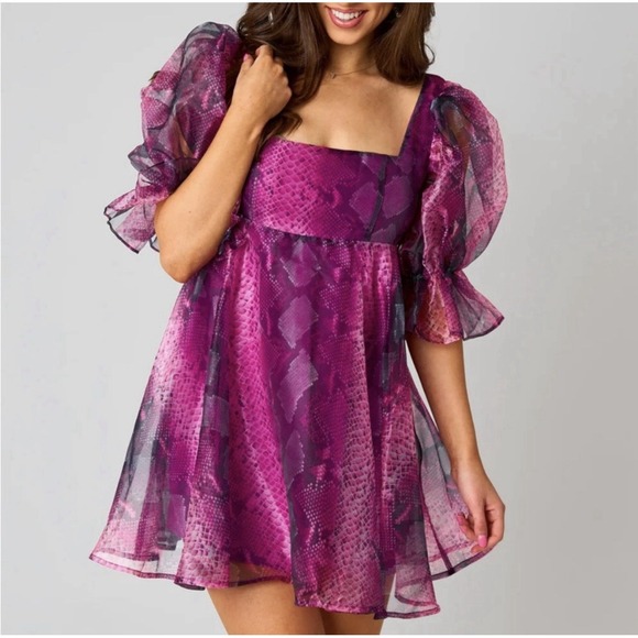 Buddy Love Dresses & Skirts - Buddy Love Women's Sz M Betsy Puff Sleeve Babydoll Dress Preppy Country Glam NWT